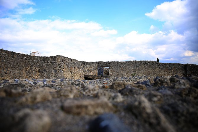 Private Half-Day Tour of The Pompeii Ruins Highlights and Mann - From Pompeii’s buildings to Naples’ museum