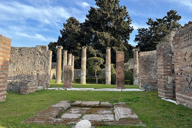 Private Half Day Tour to the Ruins of Pompeii - What this Pompeii tour really provides