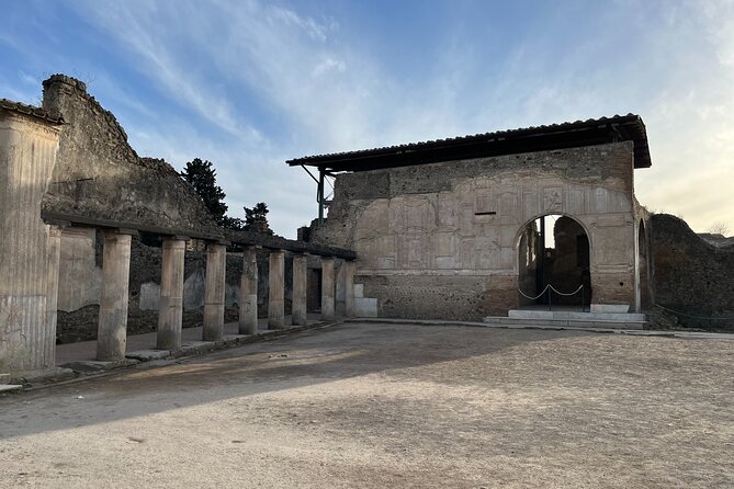 Private Half Day Tour to the Ruins of Pompeii - The optional Vesuvius wine and lunch stop