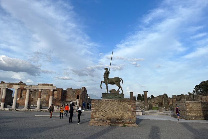 Private Half Day Tour to the Ruins of Pompeii - Comfort and walking concerns inside the park