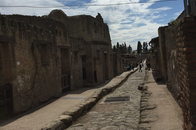Private Herculaneum Tour for Kids and Families - Temples, stories, and the thermal baths
