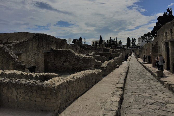 Private Herculaneum Tour for Kids and Families - Is $181.74 per person good value?