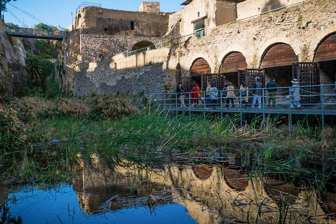 Private Herculaneum Tour – Top Experience with Local Guide - The Palestra and Roman civic life