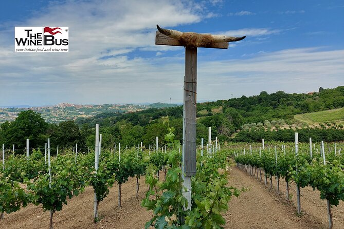 Private Irpinia Wine Tour from NAPLES with sommelier - Who should book this Irpinia wine tour?