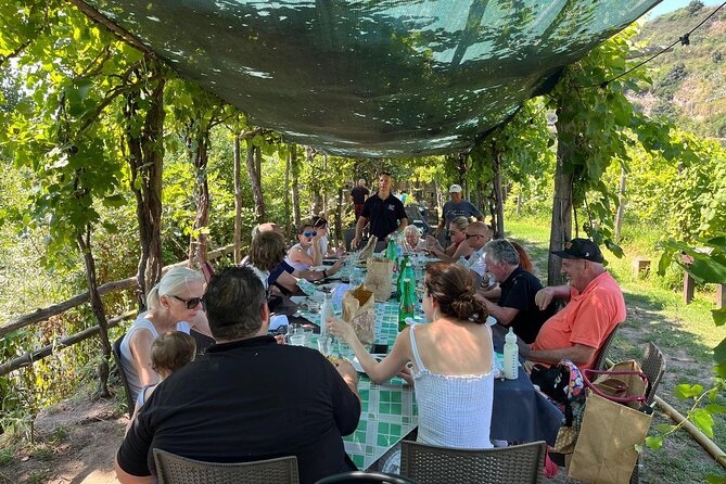 Private Natural Wine Vs Byodinamic and Organic Wine Tour - Comparing Ancestral and Charmat method wines