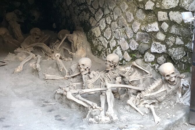 Private Pompeii and Herculaneum with Wine Tasting - Full Tickets - What makes Herculaneum different