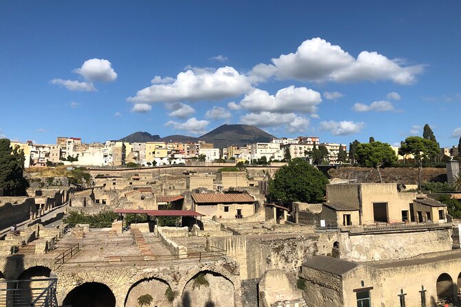Private Pompeii and Herculaneum with Wine Tasting - Full Tickets - Who should book this experience