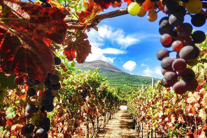 Private Pompeii and Vesuvius with Wine Tasting and Full Tickets - Climbing Mount Vesuvius