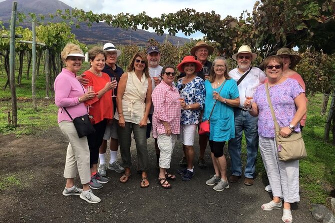 Private Pompeii and Vesuvius with Wine Tasting and Full Tickets - Pompeii begins at the city gate