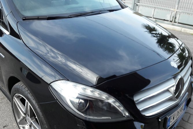 Private Pompeii Herculaneum and Vesuvius Full-Day Shore Excursion - What the driver does, and what you must do yourself