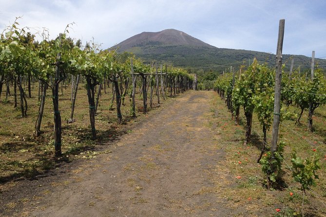 Private Pompeii, Herculaneum and Winery Tour from Naples - Why pair Pompeii with Herculaneum?