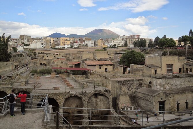 Private Pompeii, Herculaneum and Winery Tour from Naples - Pompeii in two hours: the big Roman city