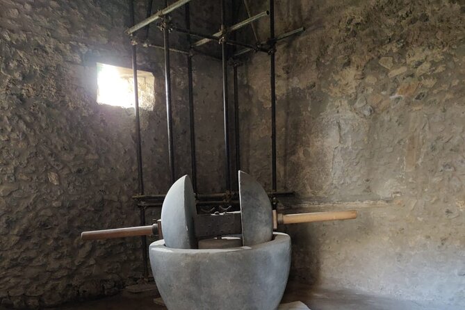 Private Pompeii Tour with Fast-Entrance Tickets to the Ruins & Exclusive Guide - The gymnasium and Pompeii’s public life