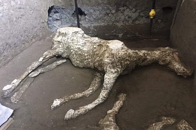 Private Pompeii Tour With Guide and Transfer Included - Forum Baths and the practical side of Roman life