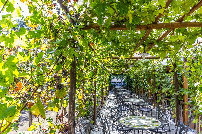 Private Pompeii Tour with Organic Wine Tasting & Lunch - Pompeii First, Wine Afterward