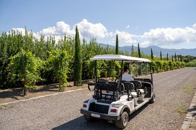 Private Pompeii Tour with Organic Wine Tasting & Lunch - How Much Value Do You Get for $217.22?
