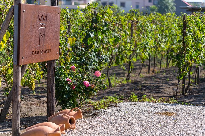 Private Pompeii Tour with Organic Wine Tasting & Lunch - A Private Guide Makes the Ruins Easier to Read