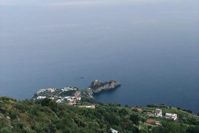Private Shore Excursion from Naples to Pompeii, Sorrento and Positano - The minivan and private format