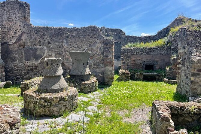Private Skip The Line Archeo Tour Of Pompeii - Villas, houses, and Roman domestic life