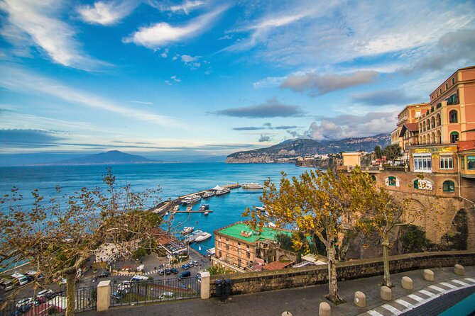Private Tour in Pompeii Sorrento and Positano - The driver can shape the whole day