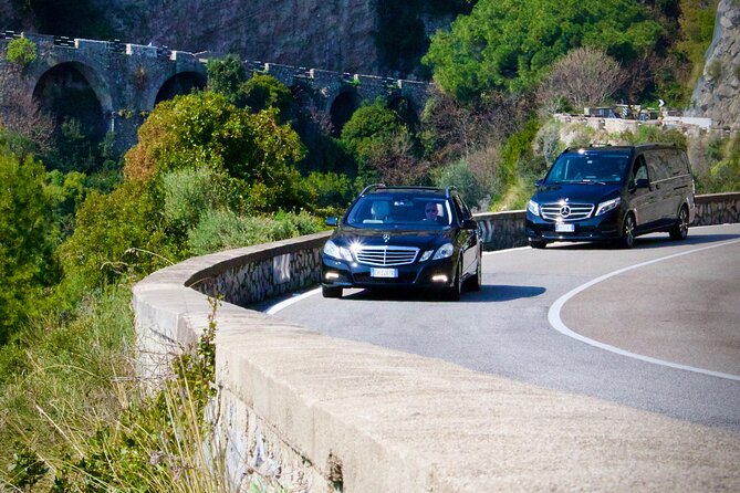 Private tour of Pompeii and Vesuvius from Sorrento or Naples - Private transport is the real selling point