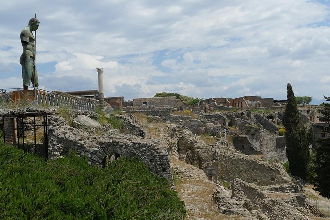Private Tour of Pompeii with official tour guide and skip the line tickets - Who should book this Pompeii tour