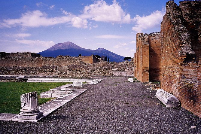 Private Tour of Pompeii with official tour guide and skip the line tickets - Starting at Pompeii Archaeological Park