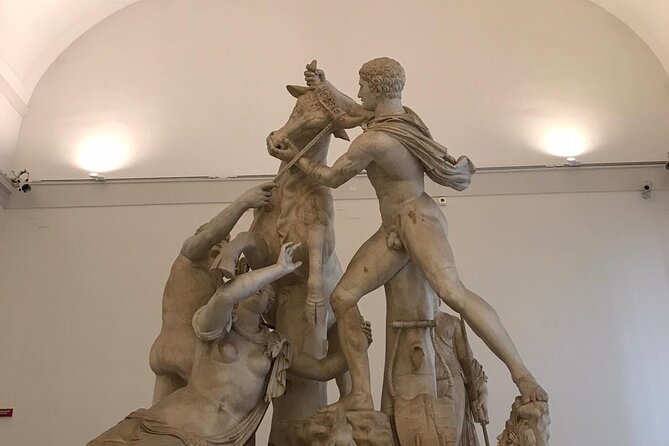 Private Tour of the National Archaeological Museum of Naples - Who should book this experience