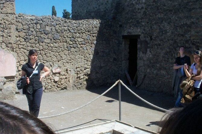 Private tour of the Pompeii excavations - Two hours and 15 minutes inside a huge site