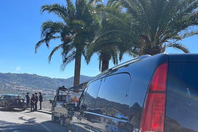 Private Tour Pompeii and Sorrento from Naples - The value of an English-speaking private driver
