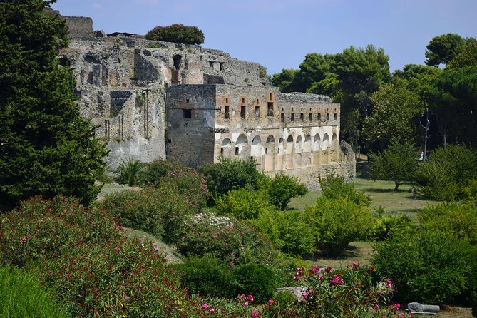 Private Tour: Pompeii Half-Day Trip from Naples - Houses, Frescoes, and the House of Vetti