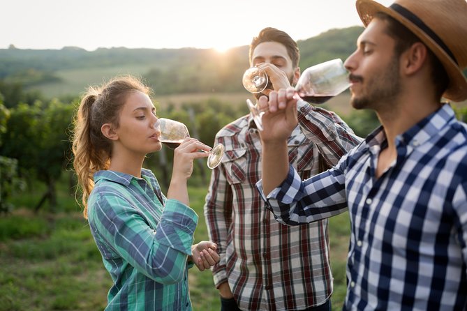 Private Tour: Pompeii & Wine Tasting at the Slopes of Mt Vesuvius - What the Pompeii timing means for you