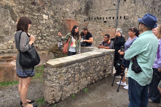 Private Tour: Pompeii & Wine Tasting at the Slopes of Mt Vesuvius - Who will get the most from this day