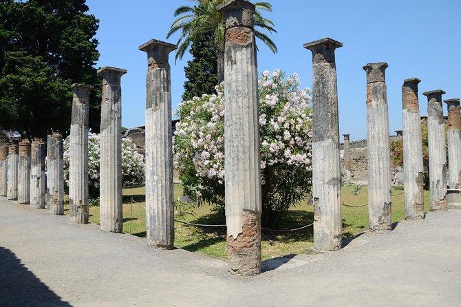 Private Tour Rome to Pompeii in private vehicle or fast train - Casa dei Vettii and the houses of Pompeii