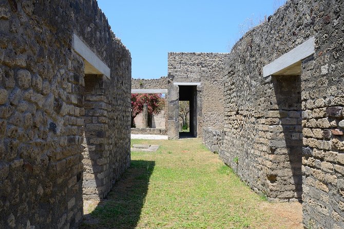 Private Tour Rome to Pompeii in private vehicle or fast train - The Stabian Baths and public Pompeii