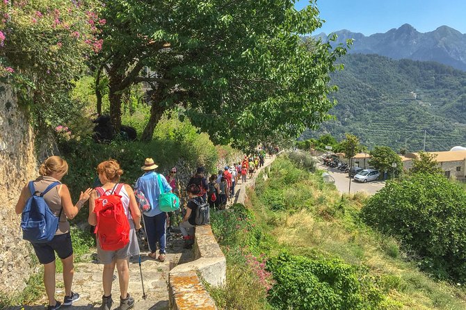 Private Tour: The Path of the Lemons - Lemon farming, edible plants, and local know-how