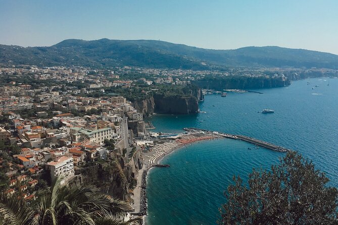 Private Tour to Amalfi Coast from the Port of Naples - What the driver-guide adds