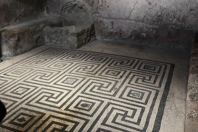 Private Tour to Pompei and Herculaneum: Skip-the-line Tickets - What the Guide Adds to the Ruins