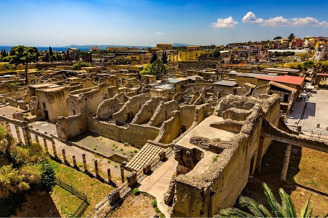 Private tour to Pompeii Herculaneum and Vesuvius - Who should book this day