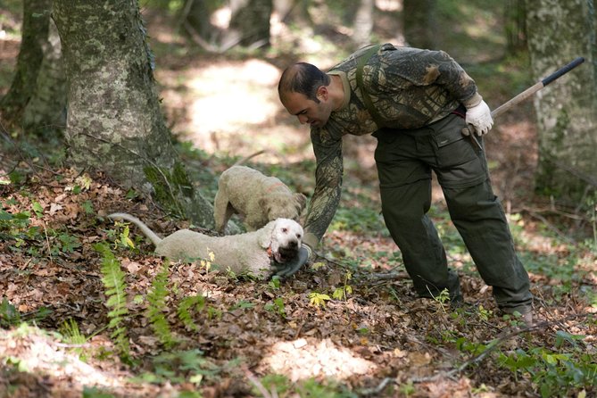 Private Tour: Truffle-Hunting Experience from Naples with Lunch - Leaving Naples for the mountains at 7:30 a.m.