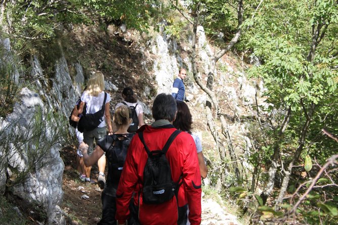 Private Tour: Truffle-Hunting Experience from Naples with Lunch - Three hours in the Monti Picentini forest