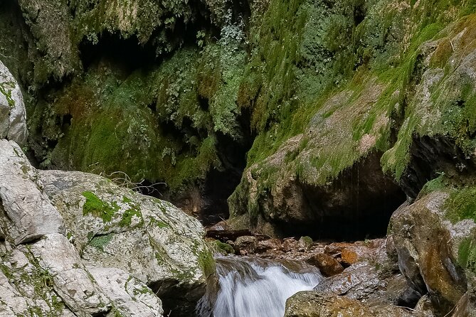 Private Tour Walking in Ferriere Valley Nature Reserve Amalfi - Who will enjoy this walk most?