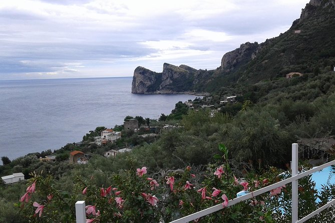 Private Tours | Amalfi coast & Pompeii Ruins - Pompeii in two hours: enough for an introduction