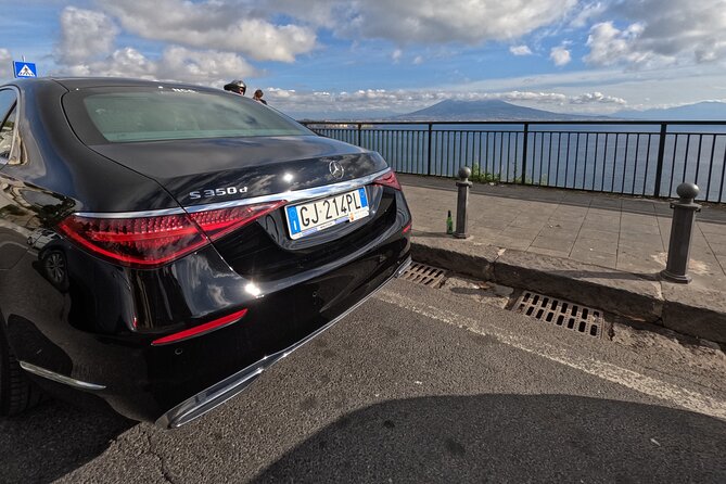 Private Transfer from Naples Airport to Naples City - Communication when flights change