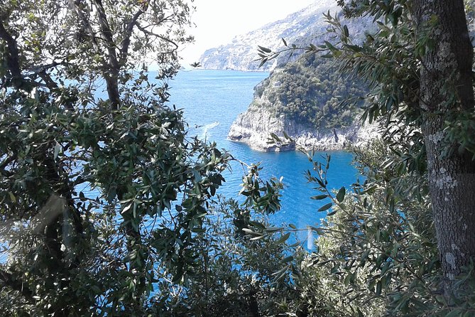 Private Transfer From Naples to Ravello/Sorrento stop at Pompeii - Why Add Pompeii to a Naples and Ravello Transfer?