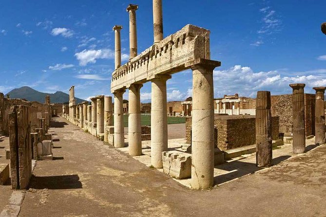 Private Transfer from Naples to Sorrento with Stop at Pompeii - Price and what the private service saves you