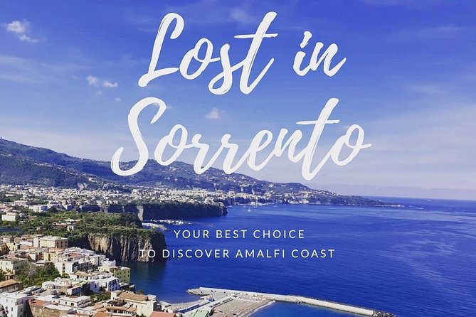 Private transfer from Naples to Sorrento with stop in Pompeii - How the service performed for arriving passengers