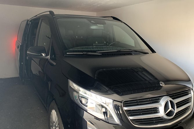 Private Transfer Naples to Sorrento with option of a Stop in Pompeii - The drivers and the local help