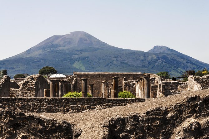 Private VIP tour to Pompeii Ruins with a Private Guide - The Roman streets, Forum, baths, and homes