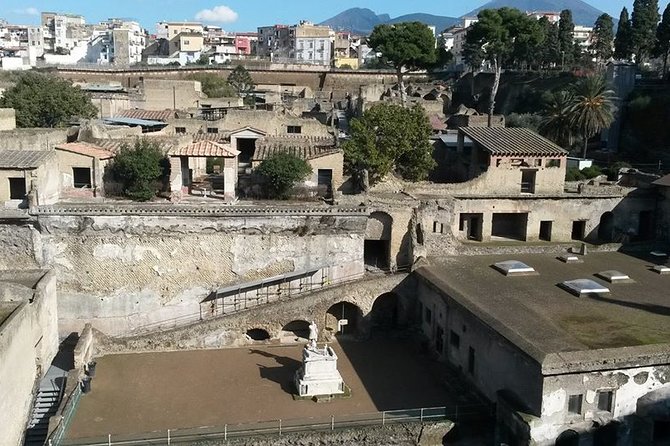Private Walking Tour through the Historical City of Herculaneum - The ancient boat and the small museum
